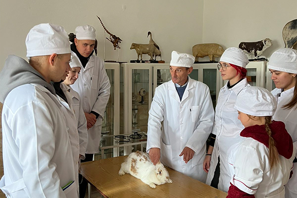 Навчальна практика на базі ветеринарної клініки