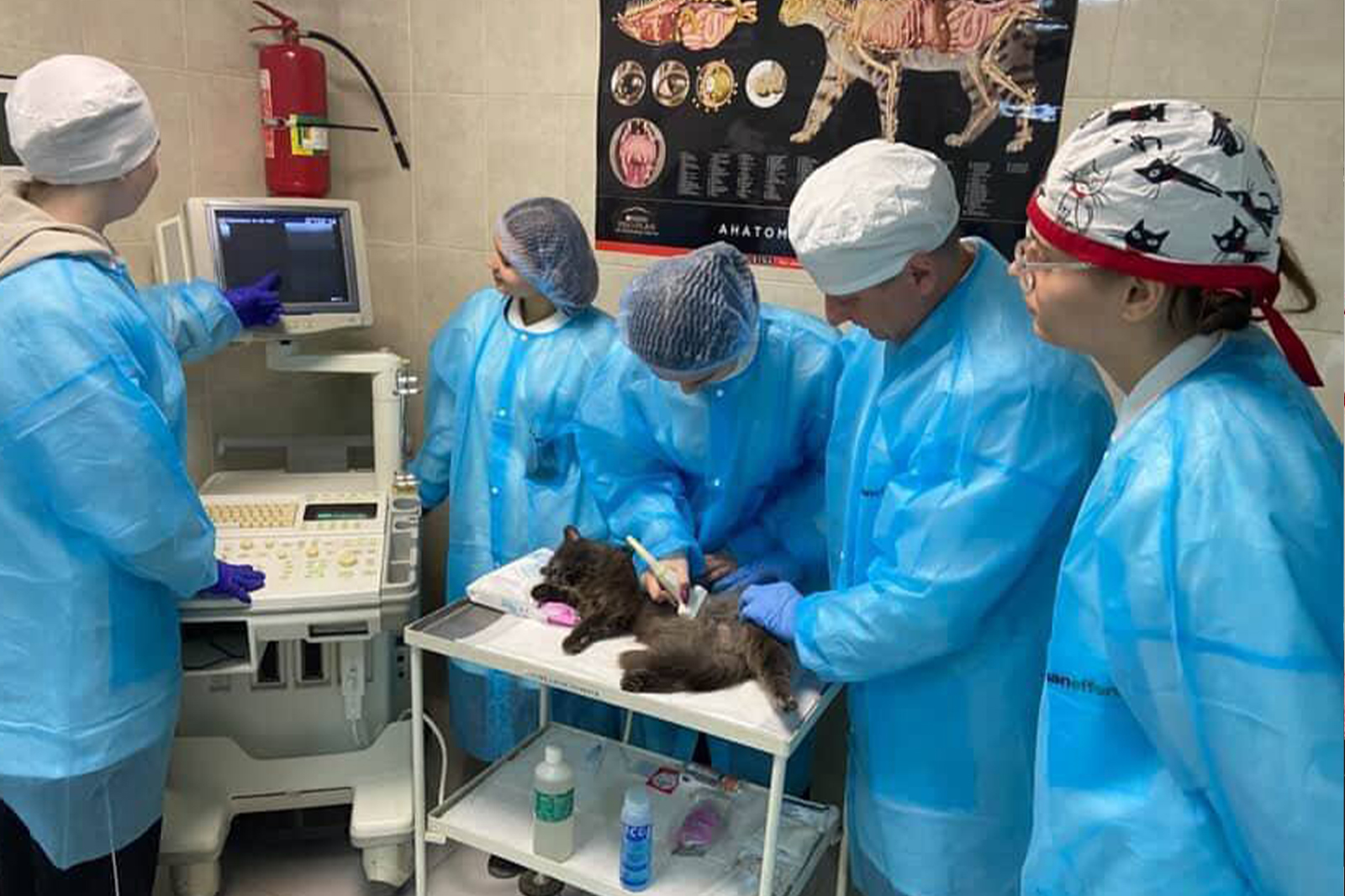 ГУРТКОВА РОБОТА