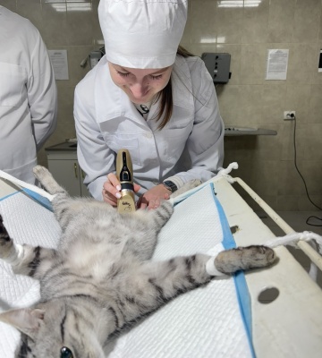 0-02-04-15d8474683c8d010e83906a2e96be579932a674a3c9d7c634edeb8816cb7a562_93be5072b561cda6