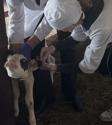 0-02-04-305d5356286e06894e6219d26e5122a88882478bb000ee18111483a3f8ac22f4_3c520d8eebadbaa8