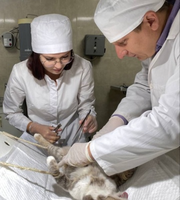 0-02-04-d0b4fc5a4bd464bd5439705609be74e178f908c0d19dce14a1855f4ed05cf6b1_32274023acf44677