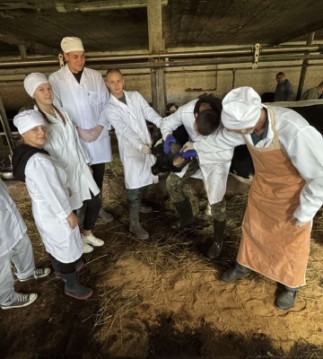 0-02-04-ea291414afe25eb5879f87ffd844c309760cabd53d4256e9badede09c3a86aa0_2ac299907e58cf30