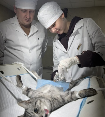 0-02-04-fadcef883f080d7b429889f307d4820a465ce0291bb67234e7638fe6d305c329_2e5076d7778c9957