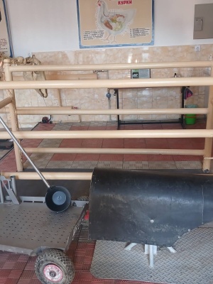 547494916_1365688272225916_8359441961180222585_n