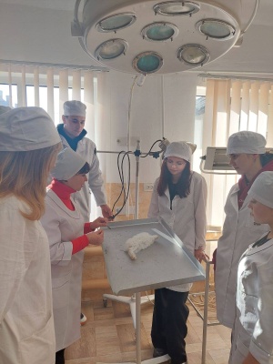 568224076_1395199559274787_4162933096333371291_n