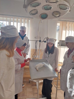 568903902_1395199699274773_7343756794690957637_n