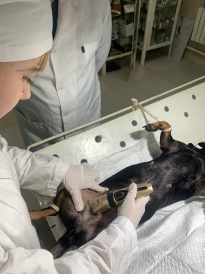 571118375_1400109265450483_1865995449744561083_n