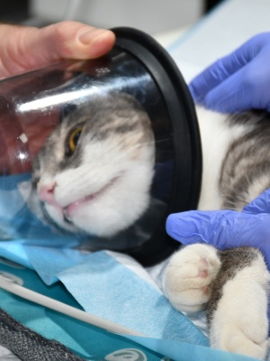 571370193_1401065815354828_5898959670488849049_n