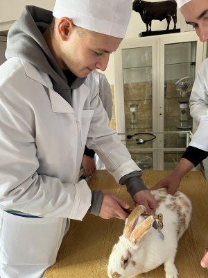 572197036_1400106822117394_7966897939012924018_n