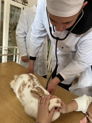 573065803_1400106818784061_2974617263139807948_n