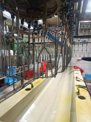 576361411_1408129747981768_7430437844444229798_n