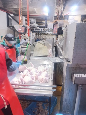 576756113_1408129744648435_5693677887761673661_n