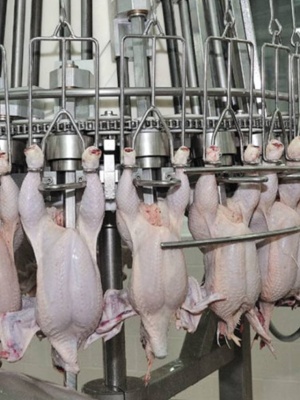 578569890_1408129831315093_4428218946669998146_n