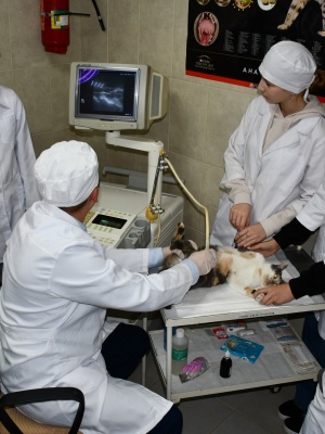 581364177_1414359034025506_23008242932156616_n