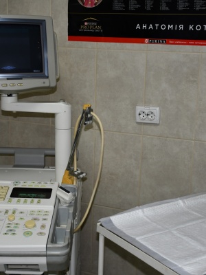 582329375_1414359004025509_50084802106194526_n