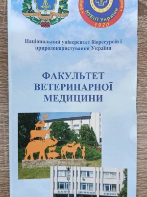 584958173_1418664560261620_1920791934552476200_n