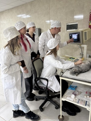 597816246_1441405084654234_3579681186079452187_n