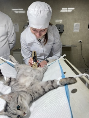 597866785_1441405151320894_6557694954181495246_n