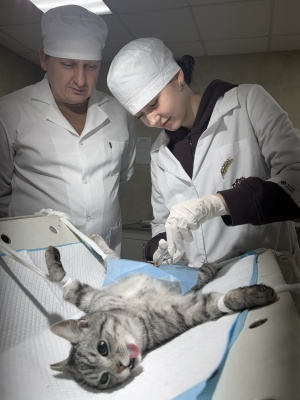 600385500_1441405081320901_3909215954659657214_n