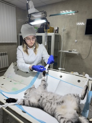 600927235_1441405077987568_8482534212050690304_n