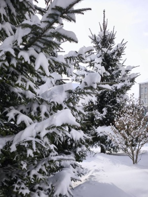 612566418_1460518499409559_6666033214518706528_n