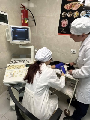 640603546_1503128725148536_6474767907108267157_n