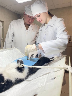 641346609_1503128801815195_4583441806491612676_n