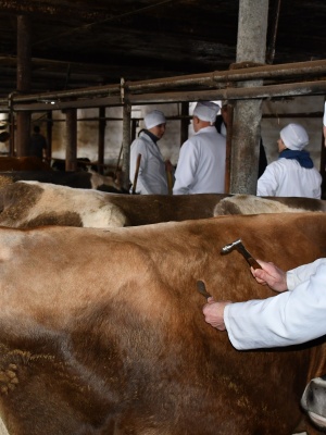 641424635_1505990384862370_1383602681661033404_n