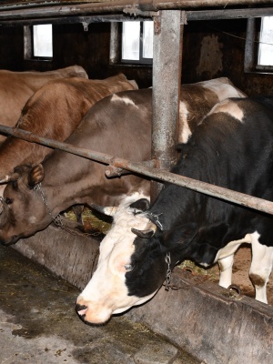 641438967_1504026878392054_5398368761353953391_n