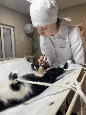 641466574_1503128851815190_8069132422135193393_n