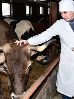 641488623_1504090958385646_6716900492667588308_n