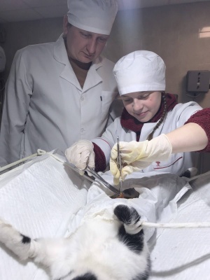 642263262_1503128765148532_5876267984688987387_n