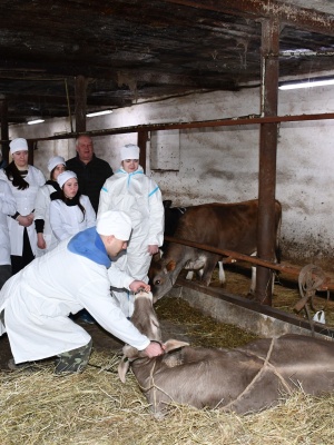 643457558_1504880548306687_7992436692287264574_n