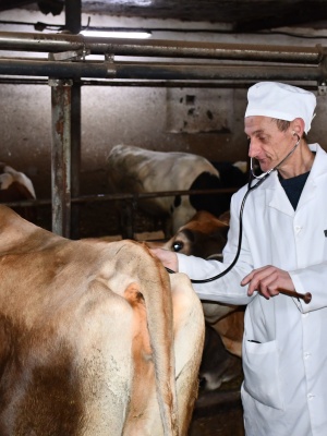 643898035_1505990424862366_8427492896234894703_n