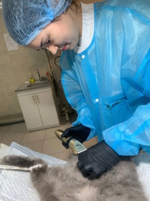 645234723_1511056684355740_2500992068435392275_n