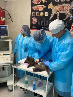 647102415_1511056634355745_3978296275168941870_n