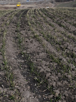 649395038_1515341027260639_8073020520314178206_n