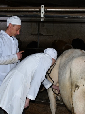 652307803_1522889269839148_7376593709440650948_n