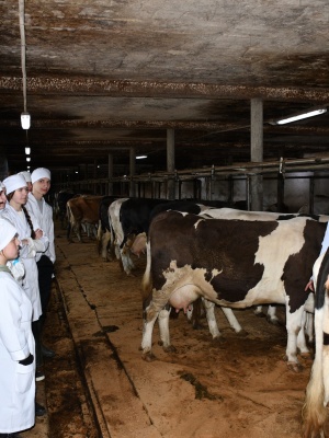 654289205_1522890813172327_315013166701219052_n