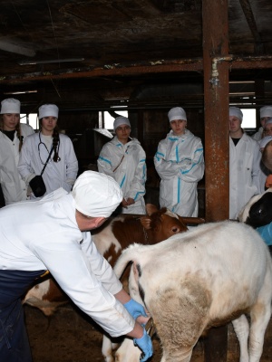 655436928_1527664922694916_1981350379991601111_n