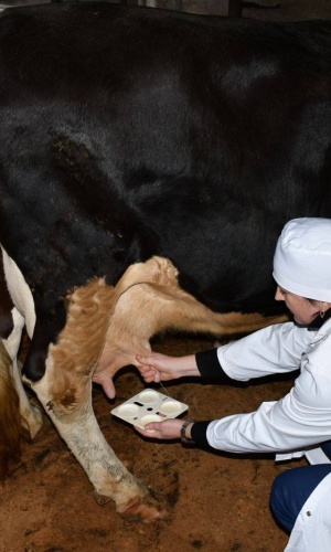 656112481_1528606035934138_5028915844194941349_n