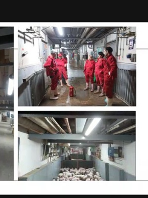 657513073_1529517339176341_8205782283737504719_n