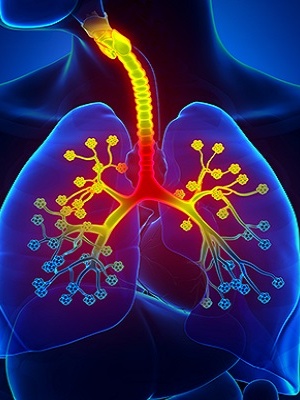 657838161_1534795545315187_5461303745484140471_n