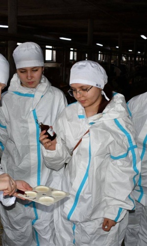 658904002_1528606079267467_773814685702686783_n