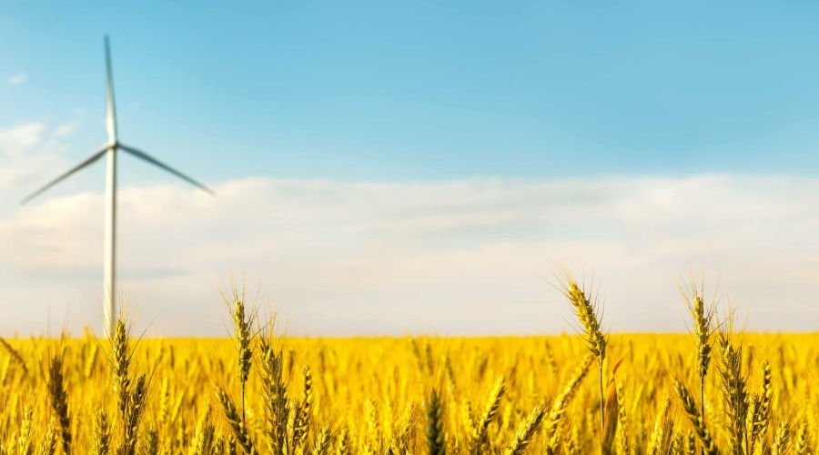wind-turbine-among-golden-ears-grain-crops